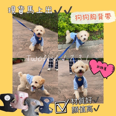 ?現貨 胸背➕牽繩? 超可愛 簡約 比熊 貴賓狗 胸背帶 背心 寵物外出 牽引繩 遛狗 牽繩