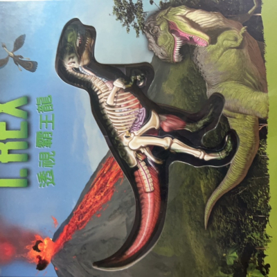 透視暴王龍 $399