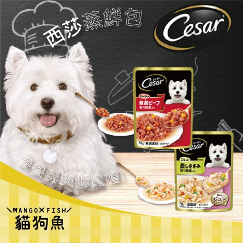Cesar 西莎蒸鮮包? 餐包 嚴選 無油烹調 低負擔 餐餐吃西莎＂蒸＂的很健康 西莎 餐包