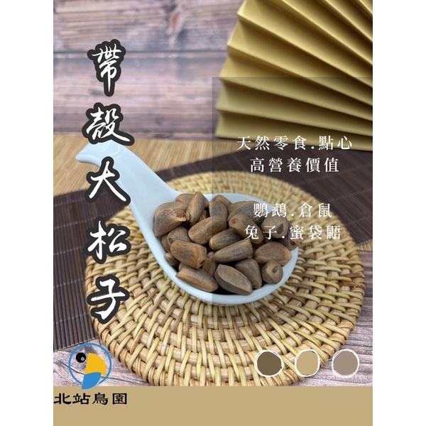 帶殼大松子 / 中大型鸚鵡、小動物、倉鼠 / 營養點心、零食 / 建議冷藏保存