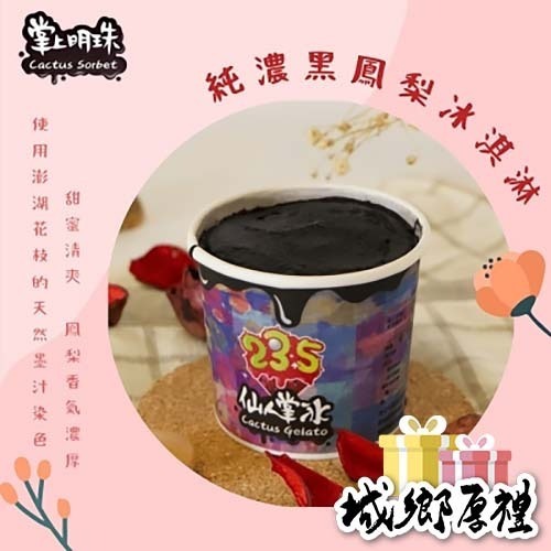 純濃黑鳳梨冰淇淋【掌上明珠】（澎湖名產）