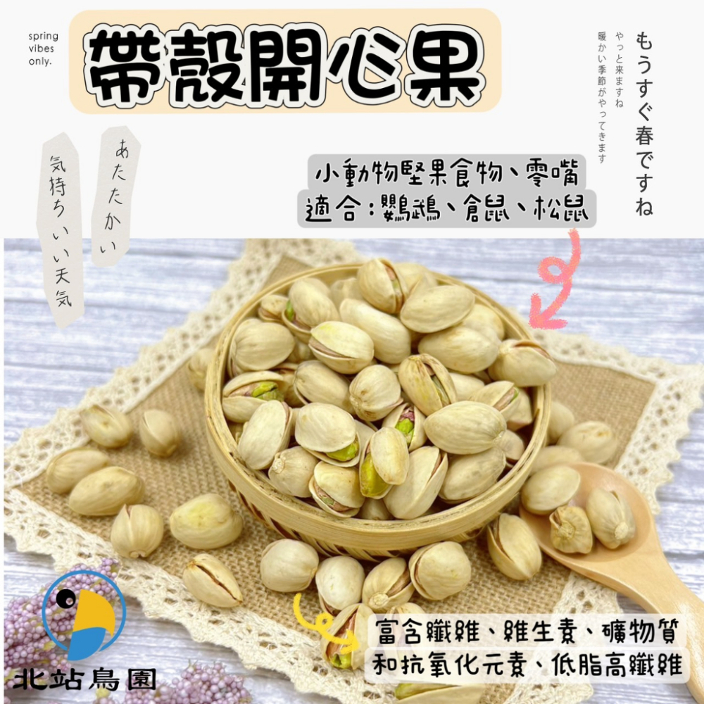 帶殼開心果 / 堅果系列 / 鸚鵡、蜜袋鼯、倉鼠零嘴 / 鸚鵡零食、鸚鵡訓練點心 / 分裝飼料