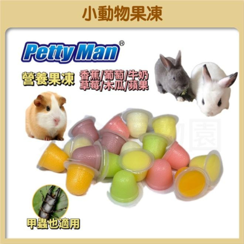 PTM小動物專用果凍 倉鼠果凍 獨角仙果凍 小動物果凍 兔子果凍 兔子零食 倉鼠 甲蟲 獨角仙 天竺鼠點心 甲蟲 蜜袋鼯