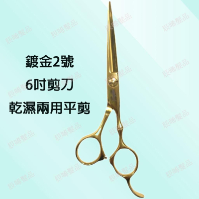 ✝️辰晞髮品✝️ 專業美髮剪刀 亮面 鍍金 金色2號 6寸剪刀 乾濕兩用平剪 設計師剪刀 美髮 沙龍