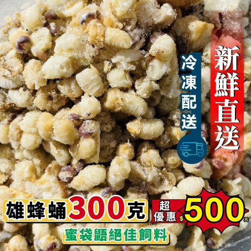 【老家蜂農養蜂場】雄蜂蛹 300公克