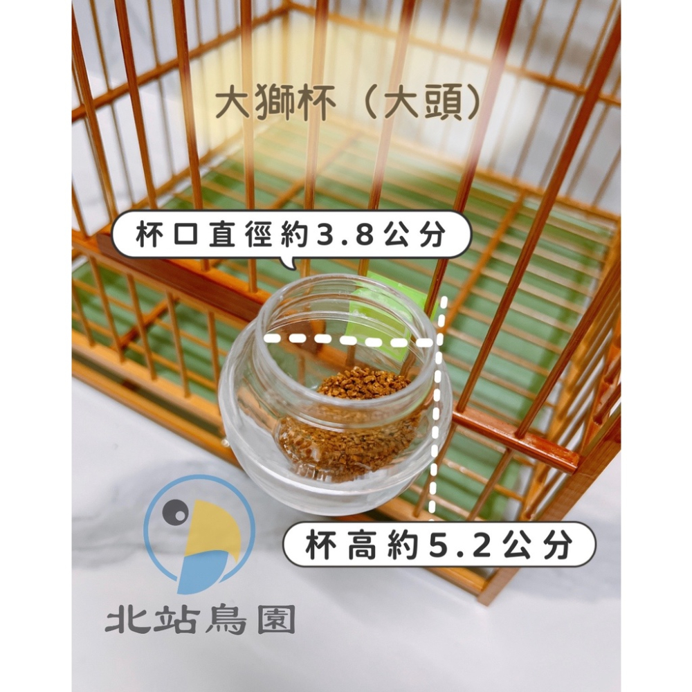 勝利牌大獅杯（大頭）/ 雀鳥科、野鳥、觀賞鳥 / 可任意掛籠子、搭配添料湯匙 / 畫眉籠、長尾籠