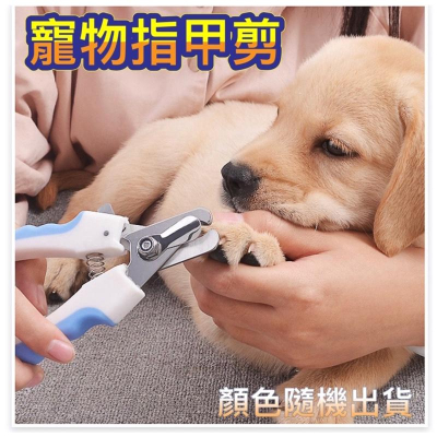 寵物指甲剪 貓狗通用 顏色隨機出貨