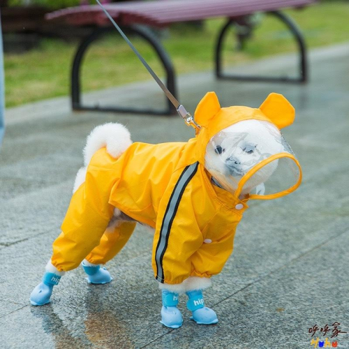 寵物小海豚雨靴 魔術貼雨靴 一套4隻 寵物雨靴