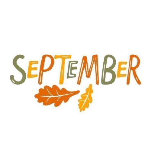 9-10月上架