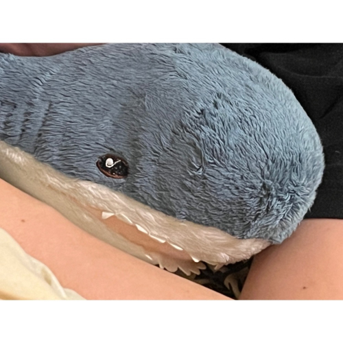 胖肉