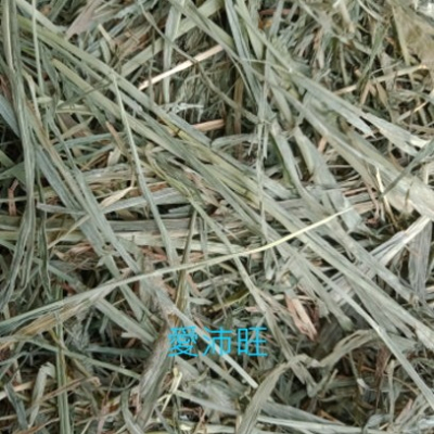 【愛沛旺】《分裝》過篩~二割提摩西草(梗葉差不多)