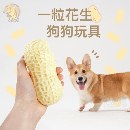 【現貨24H出貨】一粒花生 狗狗磨牙發聲玩具 / TPR玩具 狗狗玩具 寵物玩具 磨牙玩具 潔牙玩具 發聲玩具