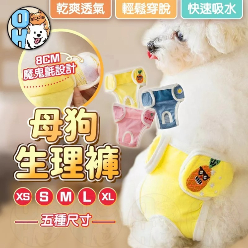 【秒發?免運】寵物生理褲 狗狗生理褲 母狗生理褲 狗生理褲 狗狗月經褲 母狗月經褲 寵物月經褲 母狗月經 狗狗月經 尿褲