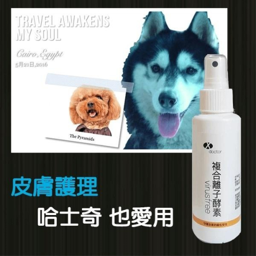 寵物 犬 貓 黴菌感染 除臭 病菌掰噴霧 100cc