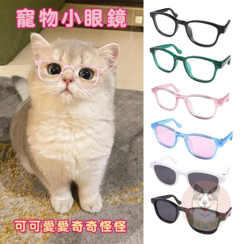 ?寵物小眼鏡? 寵物眼鏡 寵物鏡框 貓咪眼鏡 貓眼鏡 小狗眼鏡 寵物墨鏡 貓咪墨鏡 貓墨鏡 貓咪鏡框寵物配件 寵物服飾