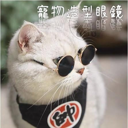 【多咪多】現貨 寵物眼鏡 貓咪墨鏡 狗墨鏡 寵物眼鏡 寵物項鍊 寵物變裝 貓咪配件 寵物配件 狗配件 拍照必備