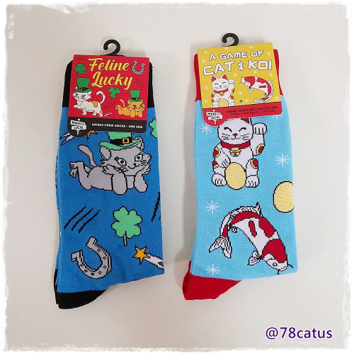 現貨 毛巾底 秋冬款 貓咪 中筒襪 【78catus 義賣 幫助浪貓】