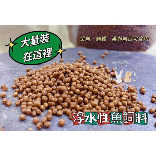 【現貨】小顆粒浮性魚飼料 大量裝 公園餵魚 生態教學 露營 出遊 魚飼料 餵魚 親子同樂 錦鯉 吳郭魚