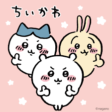 安恩hince團購