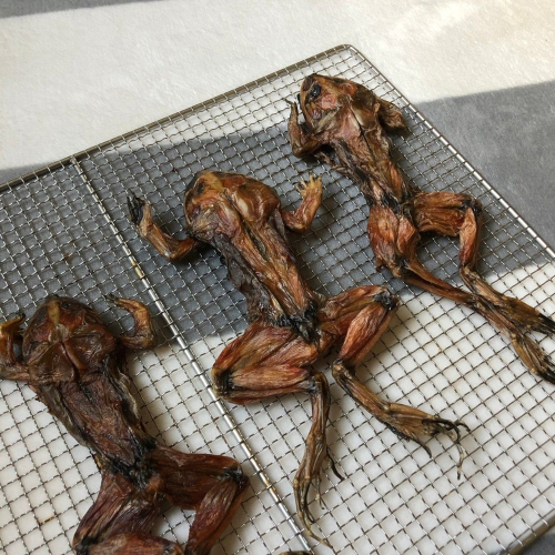 烘乾跳跳蛙 烘乾青蛙田雞 寵物零食