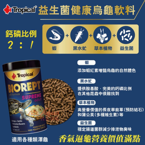 Tropical 德比克 益生菌健康烏龜軟料 水龜飼料 澤龜 花臉 鑽紋龜 星點龜 巴西龜 麝香龜 婷婷水族 兩棲爬蟲