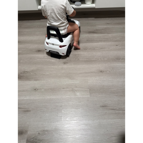 法國四紋