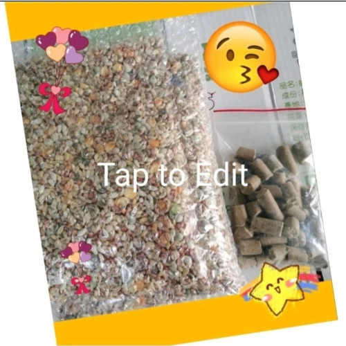 綜合鼠飼料1200克+磨牙棒（外觀說明詳內文）100克?特價99元
