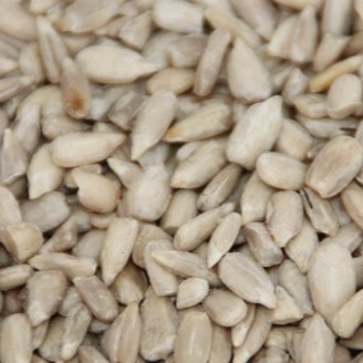 松鼠飼料 原味天然新鮮葵花子仁 瓜子仁(生)100G 蜜袋鼯 松鼠 倉鼠 寵物鼠 點心零食