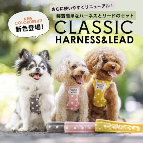 HOMIA??日本Radica寵物可愛胸背帶日系柔軟舒適柴犬約克夏玩具貴賓比熊雪納瑞布偶貓吉娃娃外出散步中小型犬貓適用
