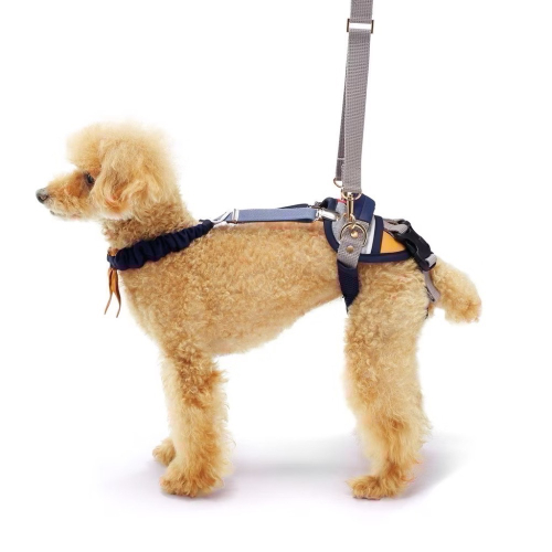 現貨｜日本 LaLaWalk 小型犬後肢輔助帶｜老犬復健支撐帶｜行走無力・癱瘓輔助｜散步提拉帶