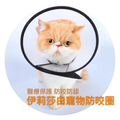 【貓咪用品】貓這裡 現貨 伊麗莎白圈 貓咪防咬圈 寵物手術傷口保護 寵物防咬圈 醫療美容保護套