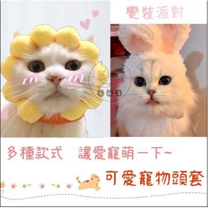【多咪多】現貨 動物造型頭套 貓咪頭套 狗頭套 兔子頭套 兔子帽 寵物帽 寵物頭套 寵物配件 兔耳帽 老虎 鯊魚