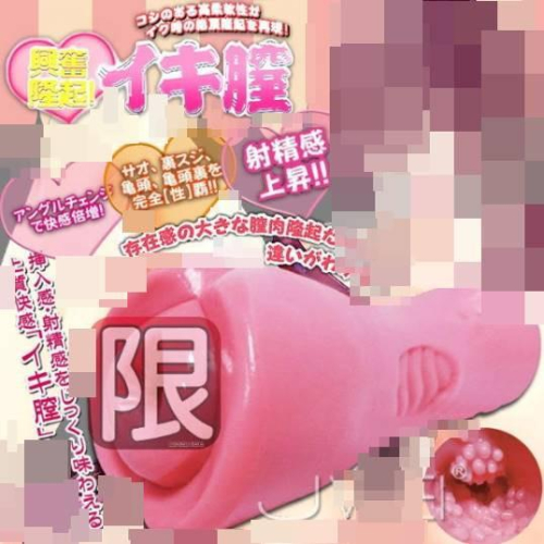 日本原裝進口Toys Love‧興奮隆起 イキ膣 發情澎漲淫穴自慰套