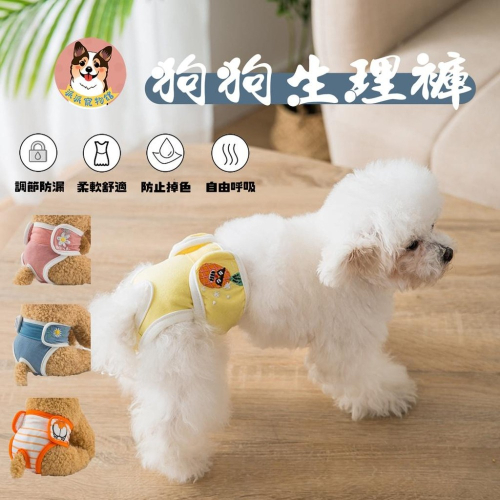 ?狗狗生理褲? 寵物生理褲 狗生理褲 狗狗尿布 狗尿布 寵物尿布 母狗生理褲 母狗尿布 母狗 狗狗用品 寵物用品狗用品