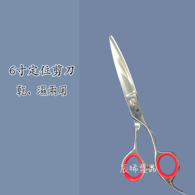 ✝️辰晞髮品✝️ 6寸剪刀 可滑剪 可剪瀏海 乾濕兩用