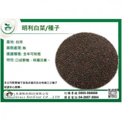【禾康肥料】明利白菜種子 可超取