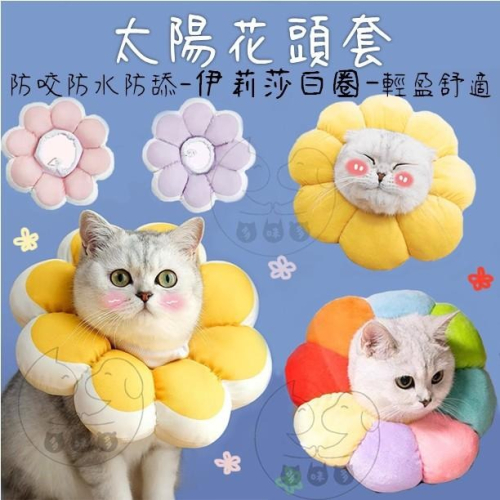 多咪多現貨 伊莉莎白頭套 太陽花頭套 小花頭套 防水頭套 寵物防咬 寵物頭套 寵物用品 寵物防舔 狗頭套 貓頭套