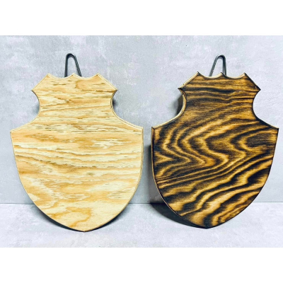《揪匠JOY WOOD 》 盾牌/居家小物/療癒植物//鹿角蕨/生活美學 /碳化 /文青 /玉女/細菌侏儒植株/虎斑貓