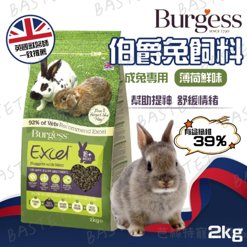 英國伯爵Burgess Excel 伯爵士 成兔專用 薄荷鮮味 兔子飼料 小寵飼料 機能飼料 小動物主食 成兔