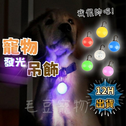 12H出貨 發光吊飾 LED發光吊墜 項圈燈 寵物吊飾 項圈吊飾 LED燈吊飾 發光項圈 防走丟