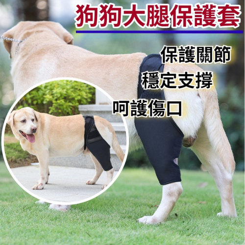 【狗大腿關節護膝】寵物護膝 狗護膝護腿 狗前後腿護膝 大腿關節固定 狗狗腿部骨折固定護具 前後腿支架輔助帶