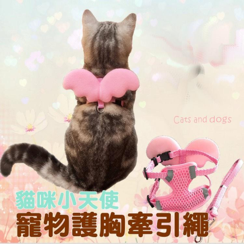 【貓咪用品】貓這裡 現貨 貓咪牽引繩 貓咪牽繩 天使翅膀 寵物牽繩 項圈