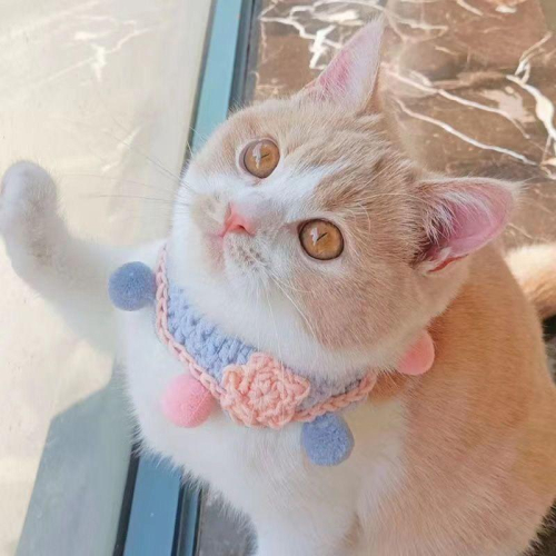 現貨 - 韓系可愛甜美卡通猫咪狗狗領巾頸部裝飾可愛毛球星星款泰迪比熊法鬥貓貓多尺寸