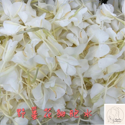 艾莉森 嚴選 （鮮花萃)野薑花 細胞水 （低溫萃取） 宛若香水 像芬芳一朵朵 盛開的蝴蝶? 般飛舞