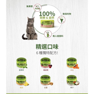 天然密碼 -NuturePRO一箱24 永恆無穀主食貓罐 貓罐 生薑 貓薄荷 蔓越莓鳳梨 椰子 木瓜 80克