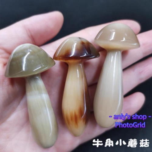 現貨 出清 精品 天然牛角臉部按摩棒❤️牛角磨菇 牛角蘑菇頭 蘑菇按摩棒 眼睛按摩棒 海豚 蘑菇刮痧板 牛角刮痧板