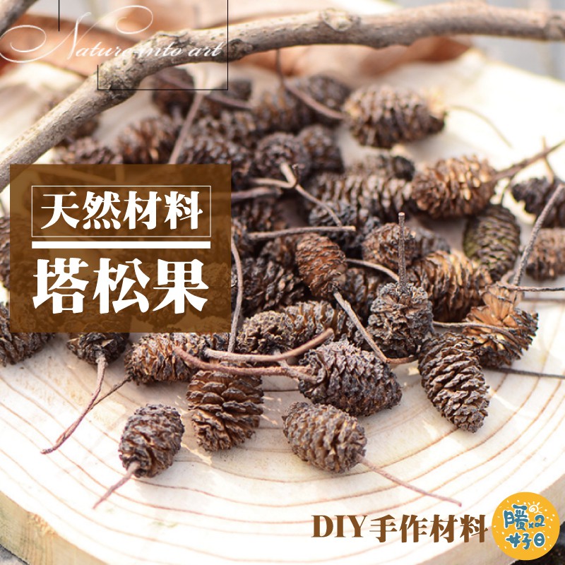 [台灣出貨] 天然乾燥塔松果粒 乾果 聖誕節 花圈 DIY材料 香薰蠟燭材料 玻璃罩花材 - 暖暖好日