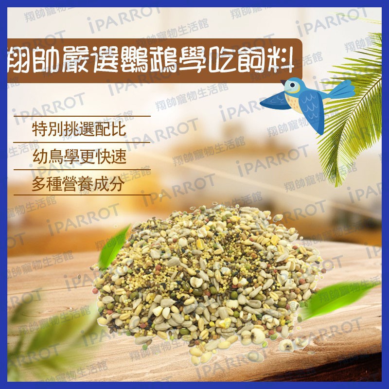 中小型鸚鵡飼料 | 中小型鸚鵡學吃專用飼料 | 鸚鵡飼料 | 翔帥嚴選鳥學吃飼料 | 翔帥寵物生活館| 學吃 | 斷奶|