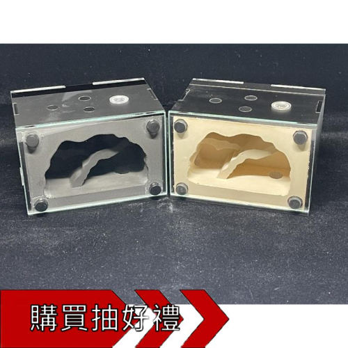 《E:巢》岩洞S 擴充專用巢體 （直立巢 蟻巢 石膏巢 螞蟻巢 螞蟻飼料 螞蟻研究）