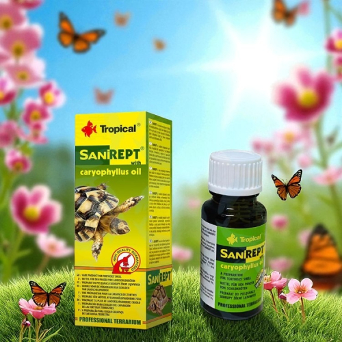 【陸龜小學堂】波蘭 德比克 Tropical 龜殼保護劑 15ml